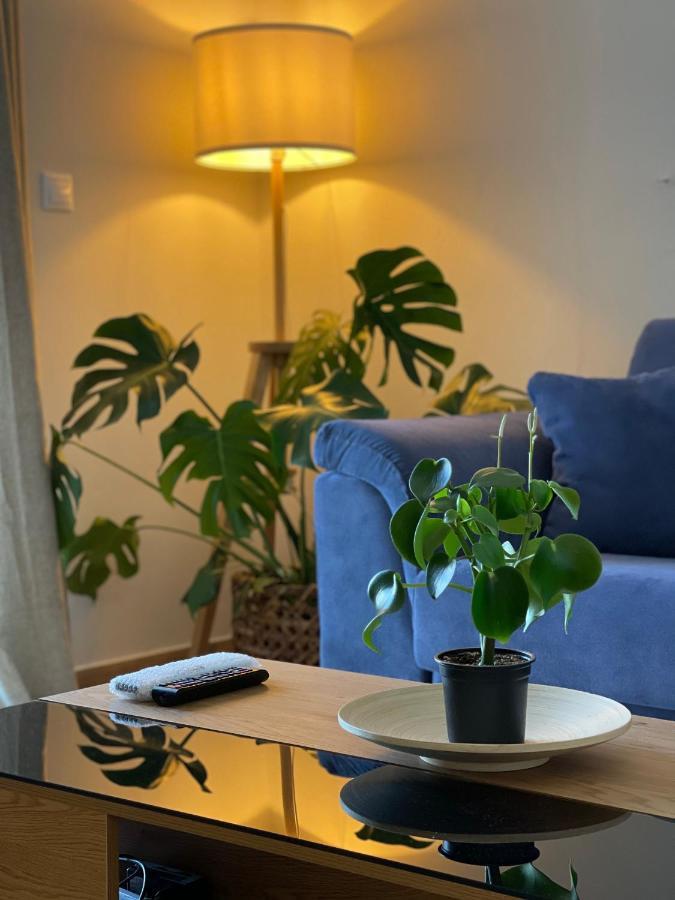 Cosy Apartment With Sea View Close To The Beach ニキアナ エクステリア 写真