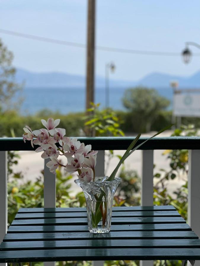 Cosy Apartment With Sea View Close To The Beach ニキアナ エクステリア 写真
