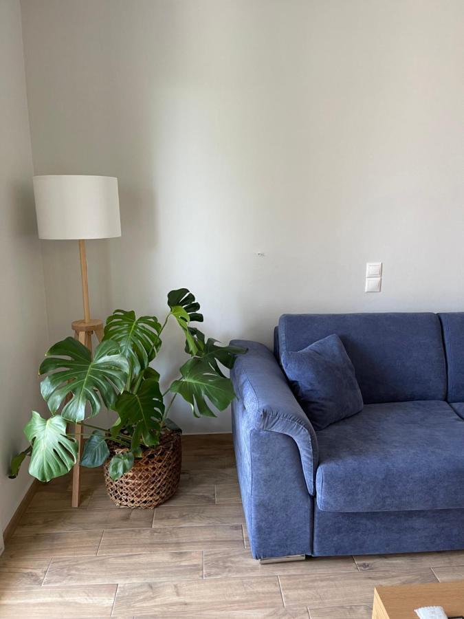 Cosy Apartment With Sea View Close To The Beach ニキアナ エクステリア 写真